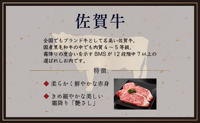 佐賀県産厳選 焼肉5種盛り合わせ 600g (2～3人前) 5種盛り600g