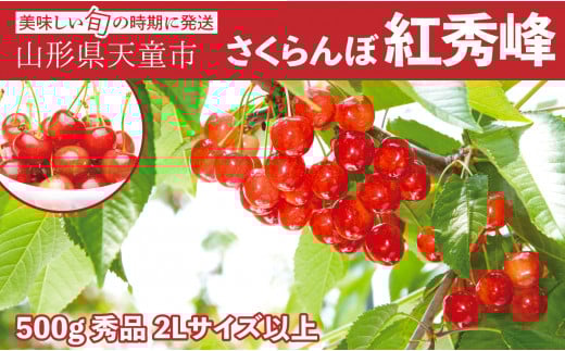 08-06-021　大玉さくらんぼ(紅秀峰)500g