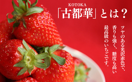 リピート者続出 奈良 高級 ブランド苺 「 古都華 」使用 レモン 香る 古都華 ジャム | フルーツ くだもの 果物 いちご イチゴ ことか コトカ 古都華 ジャム 奈良県 五條市 送料無料 お取り