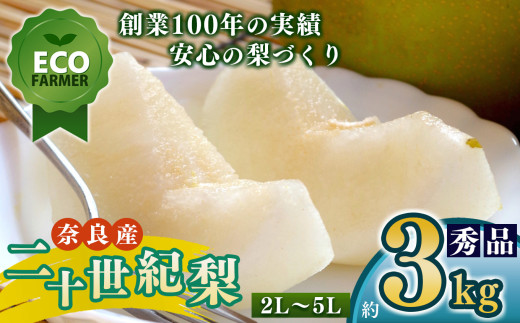 A17 【先行予約】 南陽園の二十世紀梨 おみやげ桜箱（約3kg） 2L～5L 【秀品】 | ≪数量限定≫ 梨園直送！ 期間限定 果物 くだもの フルーツ 農家直送 梨 ナシ なし シャキシャキ もぎたて 旬 お取り寄せ 二十世紀梨 奈良県 大淀町 ※9月10日頃より順次発送