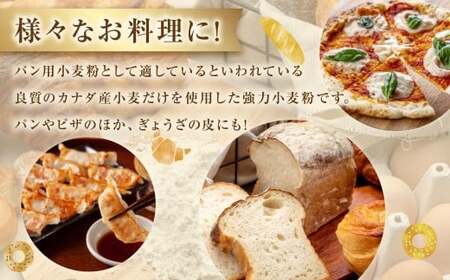 強力小麦粉 クオリテ 600g×20個 合計12kg ／ 小麦粉 小麦  強力粉 粉 パン ピザ ぎょうざの皮 料理 常温