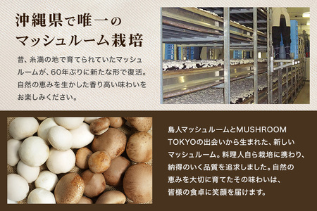 島人マッシュルームセット（ジャンボ×1ホワイト・ブラウン各100gセット） マッシュルーム きのこ詰合せセット ホワイトマッシュルーム ブラウンマッシュルーム 栄養豊富 低カロリー 糸満市 沖縄県