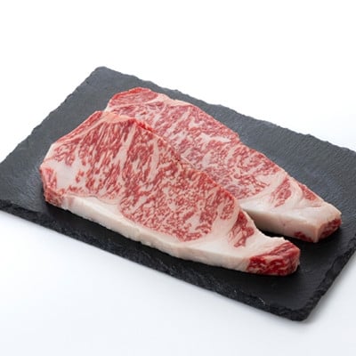 
            ＜食通の静岡牛＞ サーロインステーキ　250g×2枚 和牛 ブランド牛【1637185】
          