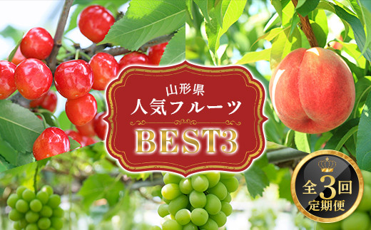 【2026年発送先行予約】山形県人気フルーツベスト3 全3回定期便 FSY-2341