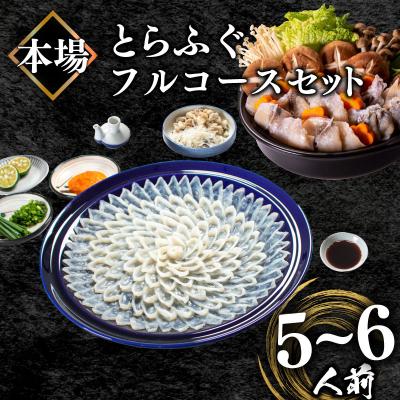 ふるさと納税 下関市 とらふぐ フルコース 冷凍 刺身 鍋 セット(5-6人前) BV011