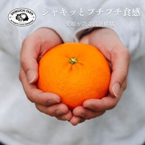 新口農園厳選【甘平 3kg】【家庭用】【C70-11】【1451142】