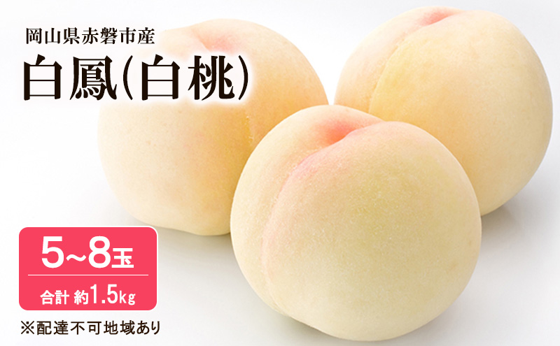 桃 2026年 先行予約 白桃 白鳳 約1.5kg 5～8玉 フルーツ 果物 岡山 赤磐市産