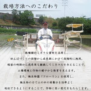 新米 藤の香 コシヒカリ 5kg お米 令和7年度産 静岡県産 静岡のお米 精米 白米 無農薬 有機肥料 おこめ ご飯 ごはん 米 国産 産地直送 静岡県 藤枝市