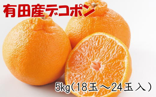 
【お味濃厚】紀州有田産のデコポン約5kg(18玉～24玉入り・青秀以上)★2025年1月下旬頃より順次発送【TM26】
