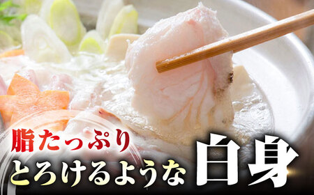 【全6回定期便】【 対馬産 】 天然 クエ 500g （切り身） 鍋 水炊き クエ 天然クエ [WAB019]