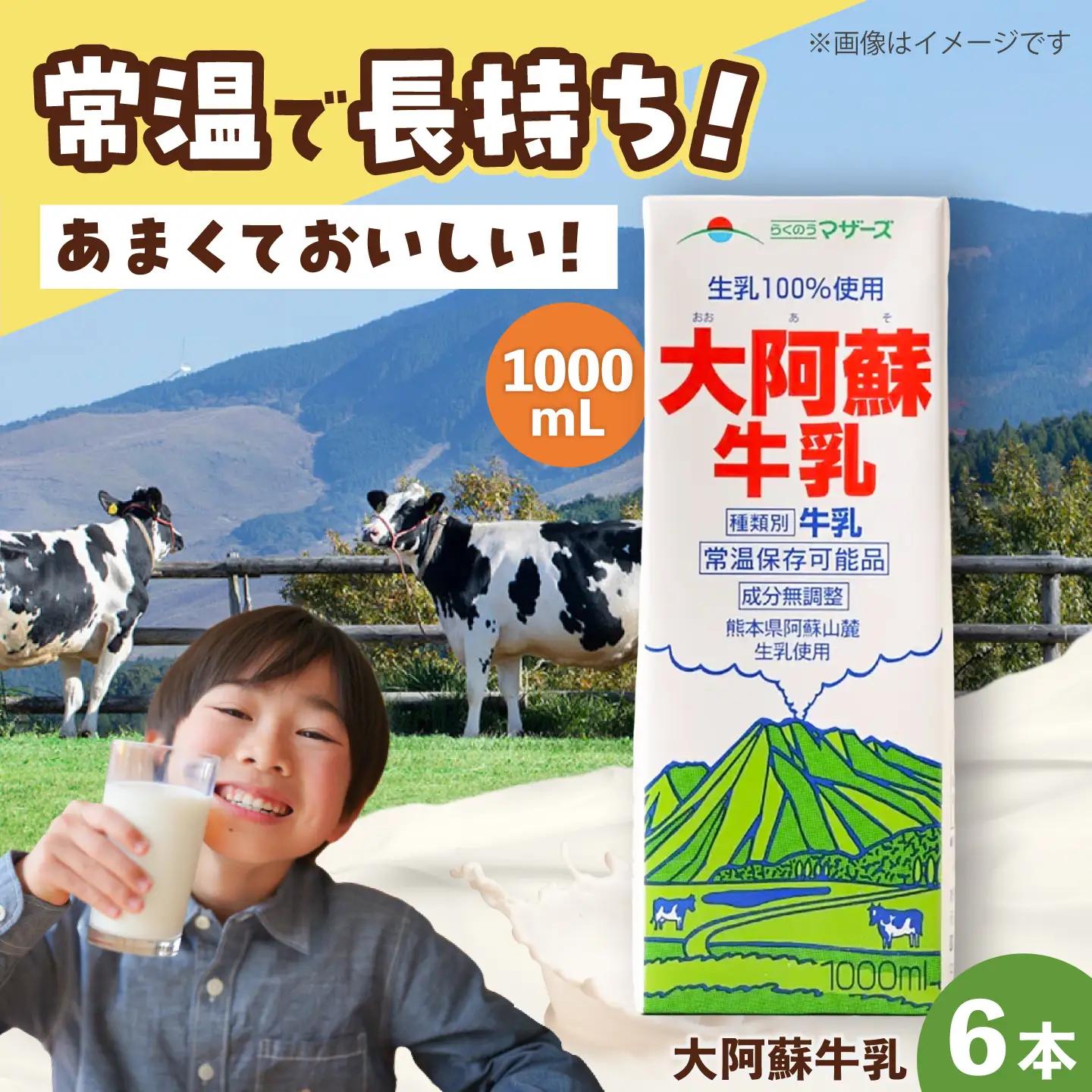 大阿蘇 牛乳 1000ml 紙パック6本入 牛乳  BHBY013