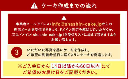 【生クリーム】サプライズに最適！ 写真ケーキ 70-100人用 特大サイズ プリント ケーキ お祝い 誕生日 還暦祝い