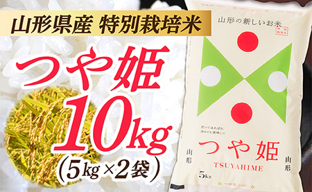 【令和6年産】 山形県産 特別栽培米 つや姫10kg (5㎏×2袋)