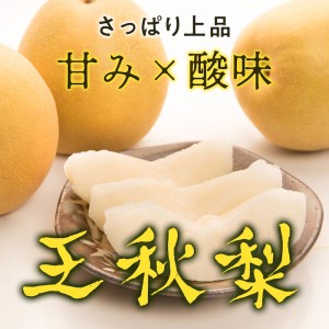 Y034 王秋梨(特秀) 5kg