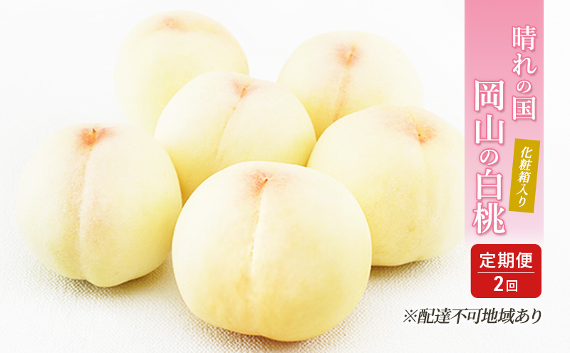 桃 定期便 2025年 先行予約 晴れの国 岡山 の 白桃 ×2回 お届け 1回目 白桃 6玉（1玉250g以上）／2回目 白桃 6玉（1玉300g以上） 化粧箱入り もも モモ 岡山産 国産 フルーツ 果物 ギフト 