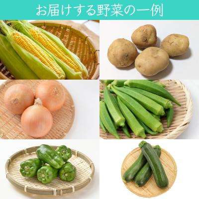 ふるさと納税 つがる市 葉菜言葉のおまかせ夏野菜セット [0636] |  | 01