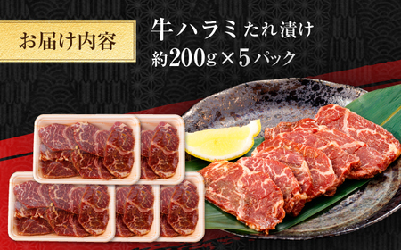 牛ハラミ　たれ漬け 約200g×5 総計約1kg / 訳あり 数量限定 小分け 柔らかい！！ 【(有)山重食肉】[ATAP145]