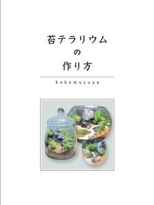 コケテラリウム制作キット直径15cm 動画説明付き〈コケ 植物 インテリア