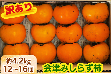 会津身しらず柿 (訳あり・家庭用) 約4.2kg (12個から16個入り) 松原農園産｜会津若松 訳アリ 果物 フルーツ 柿 みしらず かき カキ 会津身不知柿 令和7年 2025年 旬 [1022]
