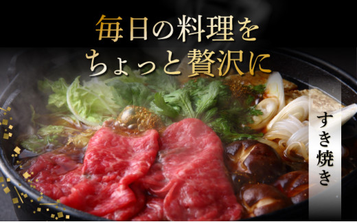 【順次発送】担当者イチオシ!! 石垣島産《黒毛和牛》切り落とし 1kg （500g×2） | お肉 肉 牛肉 冷凍 和牛 牛肉 冷凍  人気 おすすめ 国産 国産牛 小分け 八重山食肉センター  YC