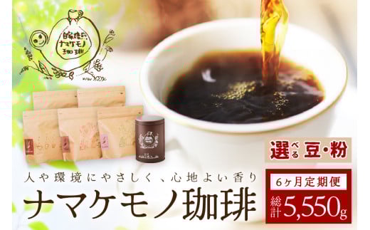 スローな浜田で焙煎をした珈琲（９２５ｇ×6回の定期便）＜豆でのお届け＞【023_0536】