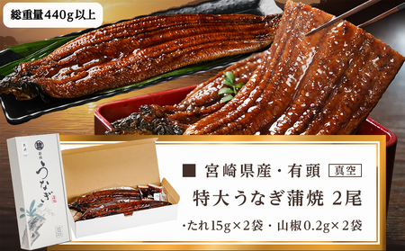 【丑の日】宮崎県育ちの【特大】うなぎ蒲焼2尾440g以上≪山椒・たれ付≫≪7月10日～18日お届け≫_18-M301-UG_(都城市) 特大うなぎ蒲焼(有頭) 宮崎県産 真空 山椒・たれ付 丑の日