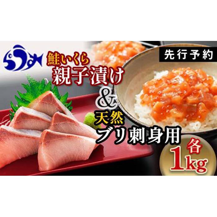 【2024年11月発送】【先行予約】親子漬け・ぶり刺身セット2kg（各250g×4）小分け いくら イクラ 秋鮭 さけ サケ 醤油漬け しょうゆ漬け ブリ 鰤 北海道 国産 羅臼 海鮮 魚介 ご飯のお供 生産者 支援 応援