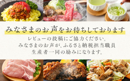 【令和6年度 新米】清流 佐見川 コシヒカリ 10kg 米 コメ こしひかり 白川町 / S.K.C[AWAX002]