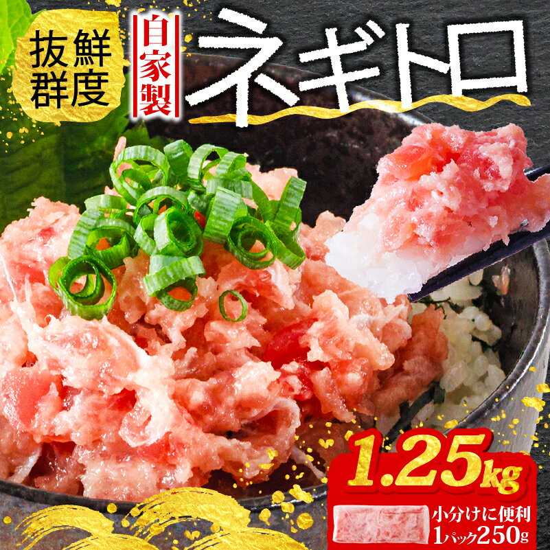 【ふるさと納税】 ネギトロ 計 1.25kg 250g × 5パック まぐろ 鮪 まぐろたたき キハダマグロ バチマグロ 小分け 個包装 魚 さかな 魚介 海鮮 新鮮 手巻き 寿司 すし 丼 ご飯 ごはん 冷凍 お取り寄せ グルメ 人気 おすすめ 愛媛県 松山市