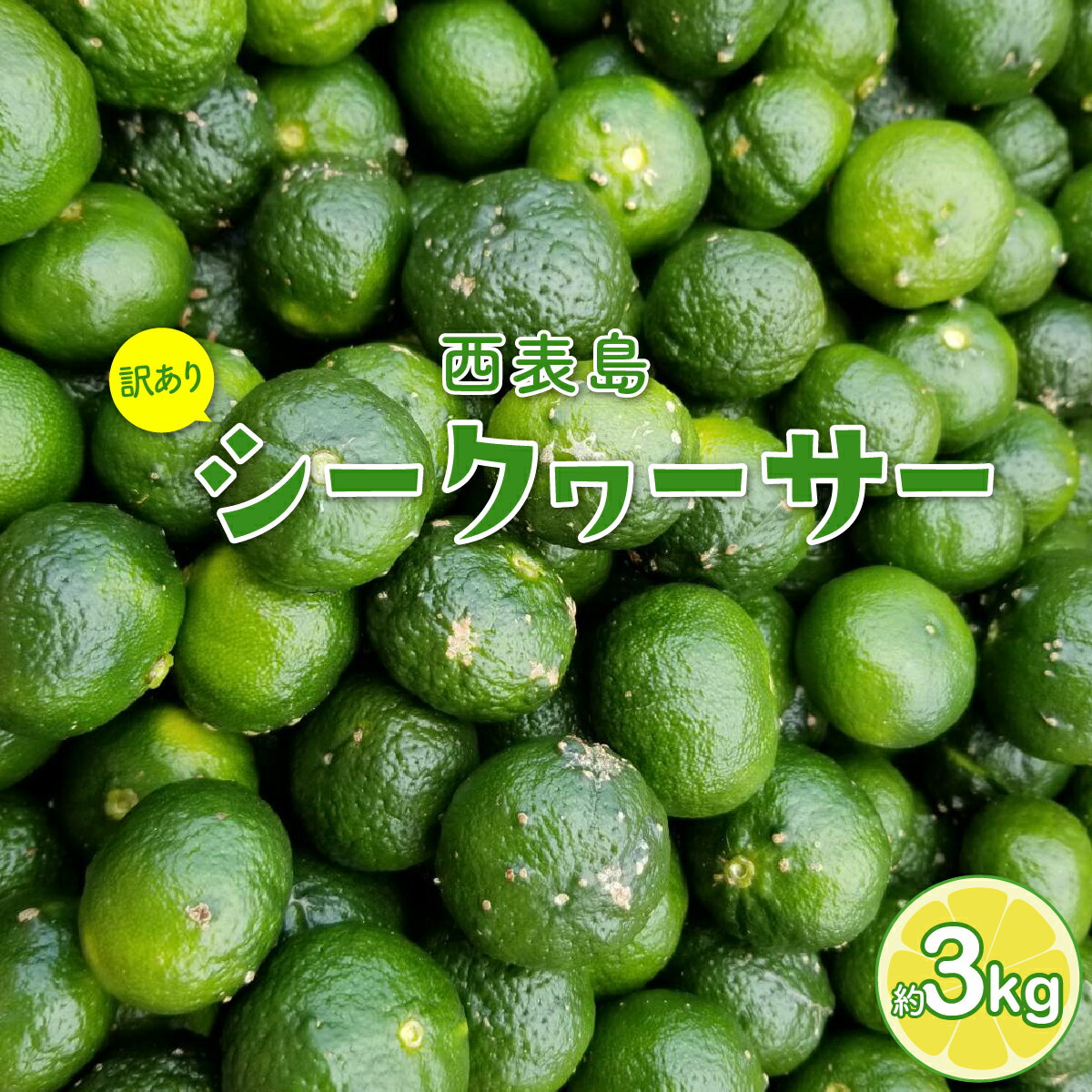 【ふるさと納税】訳あり 2026年 先行予約 青切り シークヮサー 約3kg ☆西表島ふる〜つらんど☆ 果物 フルーツ 　【果物類 柑橘類 フルーツ シークヮ—サー】　お届け：2026年8月上旬〜10月下旬（収穫でき次第順次発送）