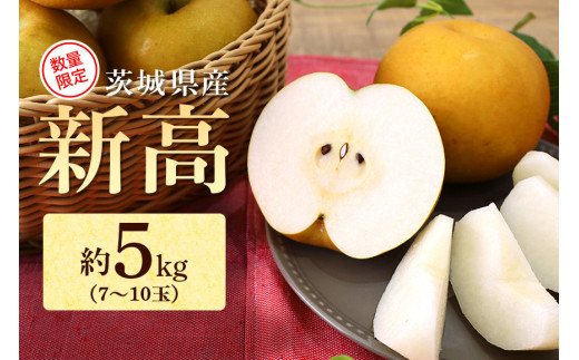 【数量限定 / 夏季限定】 梨（新高） 約5kg 梨 なし ナシ 日本梨 にいたか ニイタカ 17-Y 【9月下旬～発送予定】