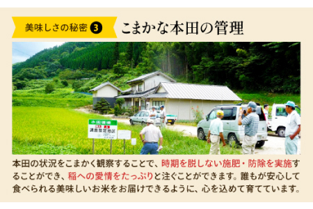 島根県仁多産コシヒカリ特別栽培米10㎏定期便6回【仁多米 コシヒカリ 特別栽培米 定期便 10kg 6回 合計60kg ブランド米 お米 米 精米 白米 人気 金賞受賞 安全 安心】