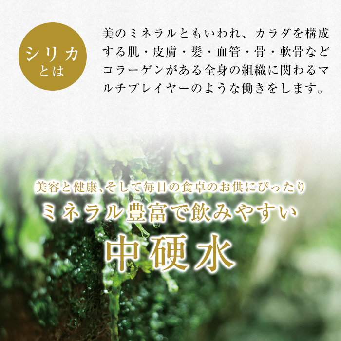 A0-360 関平鉱泉水(ペットボトル)2L×10本！霧島山麓の大自然の中から湧出する温泉水♪美容と健康のミネラル成分シリカが豊富なミネラルウォーター【関平鉱泉所】