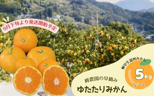 M-94　峰農園の早摘みゆたたりみかん 5kg 極早生温州みかん 早生温州みかん 早生 温州 みかん 早熟 早摘み グリーン ミカン 蜜柑 温州蜜柑 温州ミカン フルーツ くだもの 果物 ミネラル豊富 月の引力が見える町 太良町 国産  ふるさと納税 返礼品 さがみかん 太良みかん  温州みかん  美味しい ミネラル豊富 多良岳山系の水 有明海の潮風 贈答用 お中元 お歳暮 産地直送