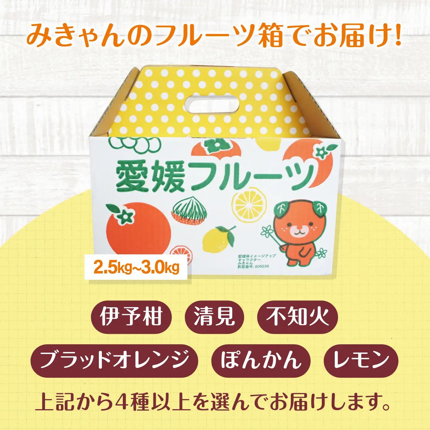 柑橘【3月上旬発送】柑橘おまかせセット[AGBN053]