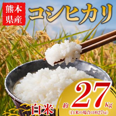 ふるさと納税 阿蘇市 コシヒカリ 約27kg(白米) 阿蘇アグロスタイル