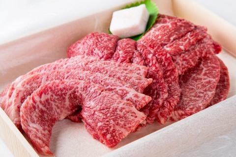 【川岸畜産】神戸ビーフ・牝　モモ肩焼肉用500g　（22-20）