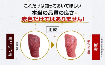 [熊本直送]　純国産　馬刺し　赤身　350ｇ