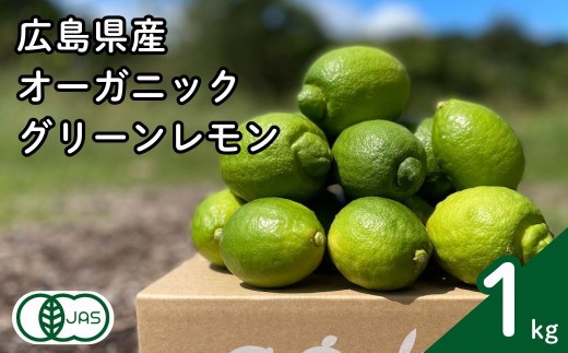 グリーンレモン 約1kg 有機JAS認証取得 フルーツ 果実 広島県産有機 オーガニックレモン 【2026年 10月 ～ 11月 発送】 先行予約 国産 瀬戸内レモン 大崎上島 送料無料 産地直送 ふじやファーム