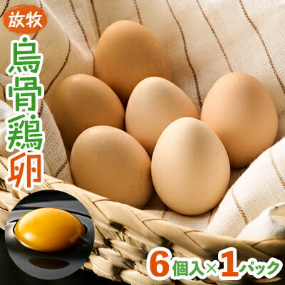 【ふるさと納税】放牧烏骨鶏卵　6個入×1パック【トリゾーファーム】【配送不可地域：離島】【1522296】