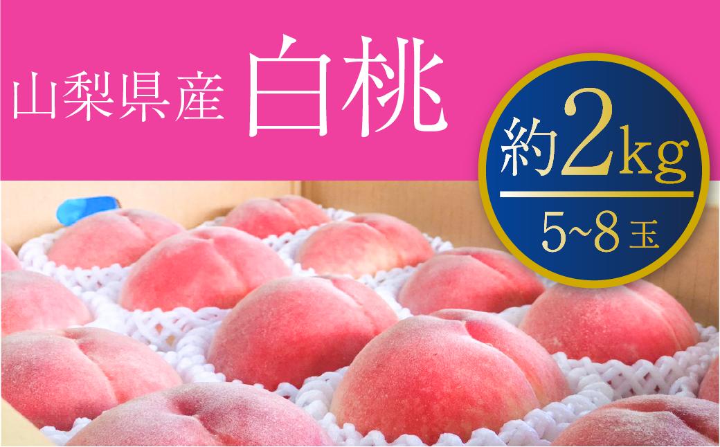 
【桃】約2kg 山梨県産の白桃をお届け！受継ぐ50年以上の目利き力！【2024年発送】（PJ）B15-166
