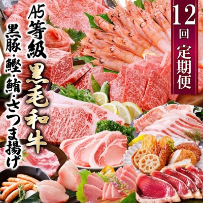 定期便(12回配送)お楽しみ便(A5等級黒毛和牛・黒豚・かつお・まぐろ・さつまあげ等)JJ−6002【1166755】