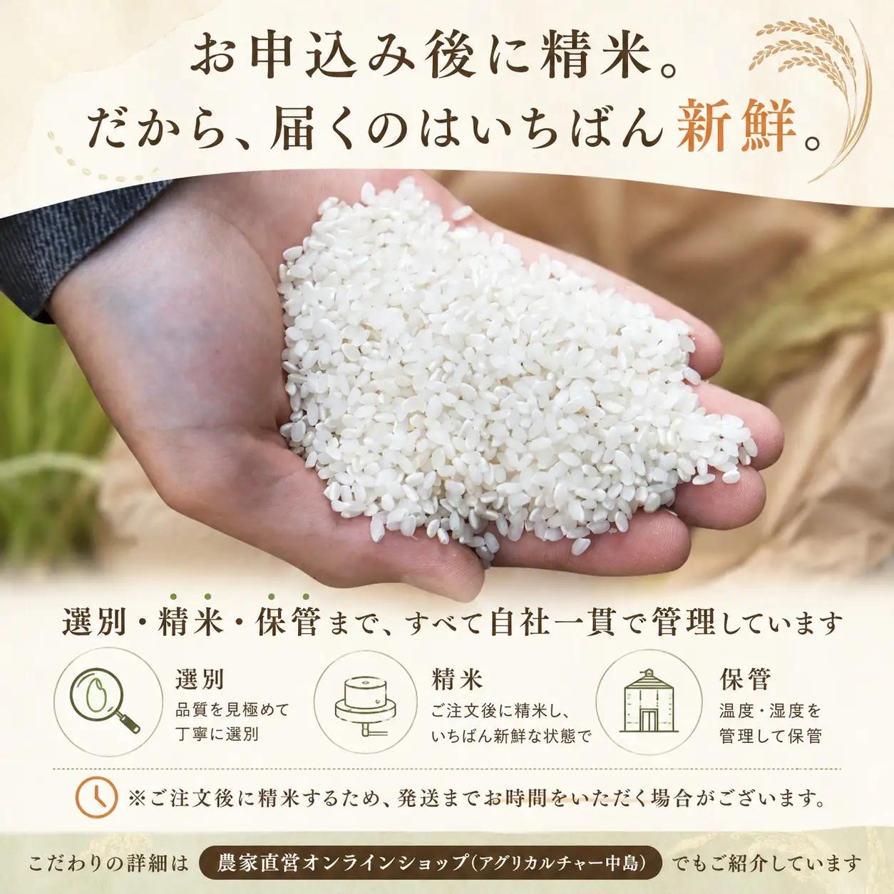 《無洗米》【にじのきらめき】無洗米 5kg 令和7年産 数量限定