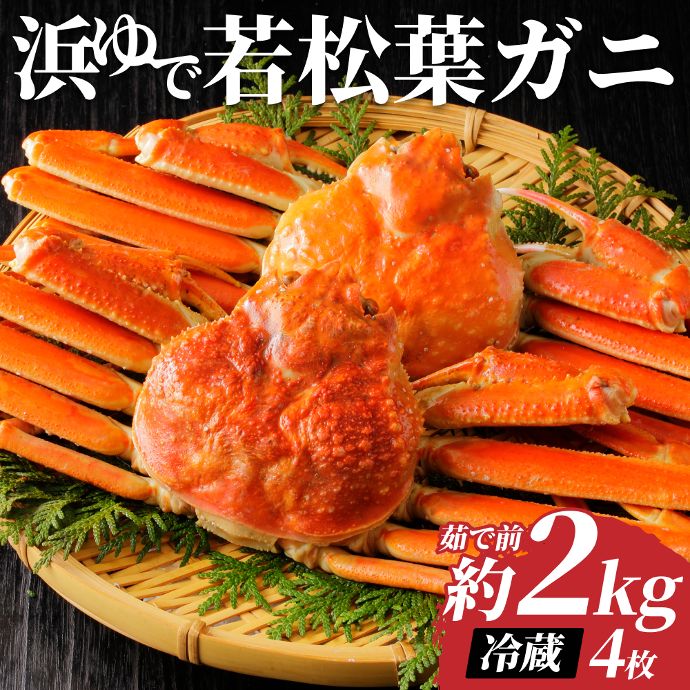 岩美町特産　若松葉ガニ姿茹で　4枚セット【22044】