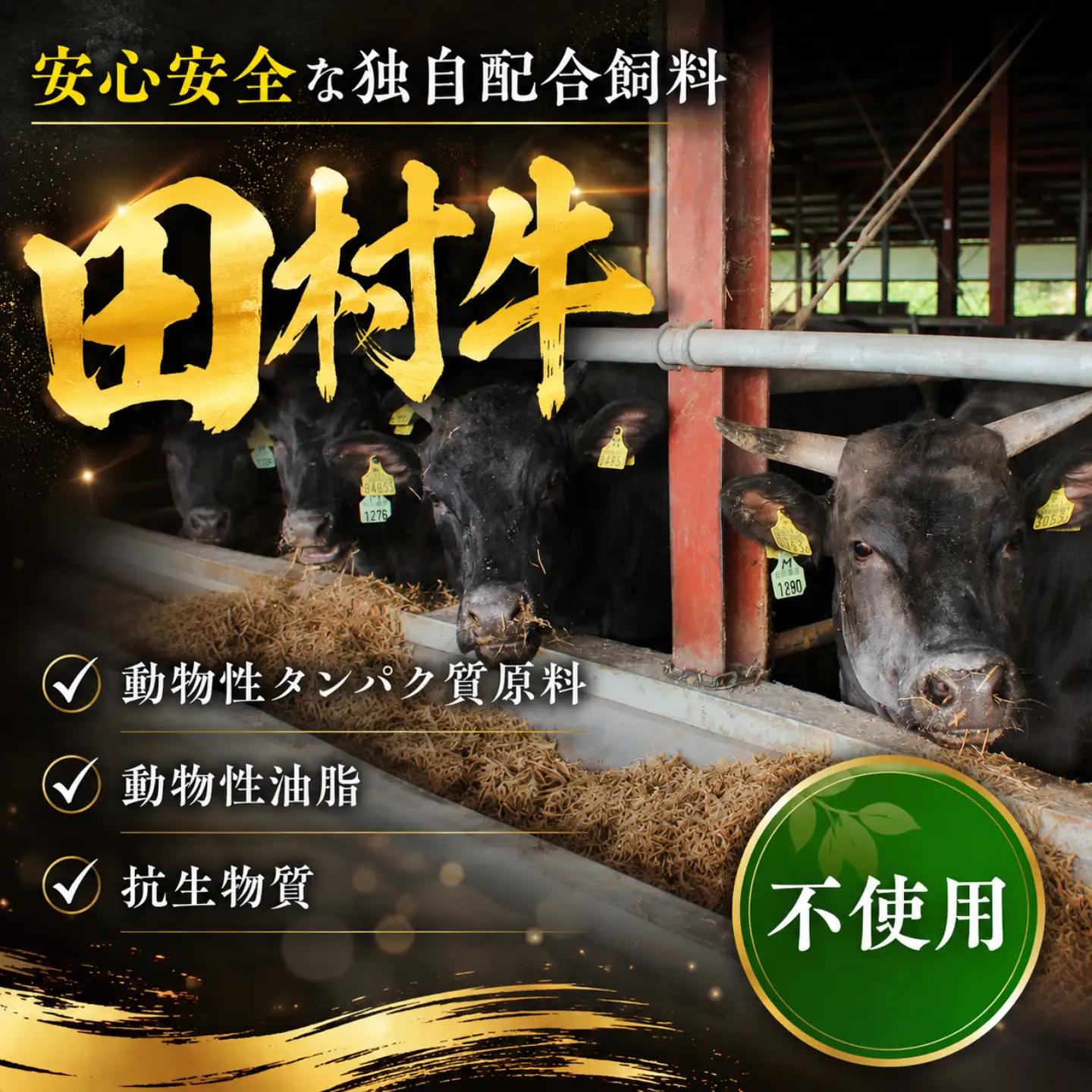 Y116 田村牛 特選ロースしゃぶしゃぶセット