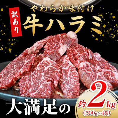 ふるさと納税 西予市 <やわらか味付き 牛ハラミ約2kg> 麹熟成 こうじ 訳あり 牛肉 肉 はらみ ハラミ 赤身 |  | 01