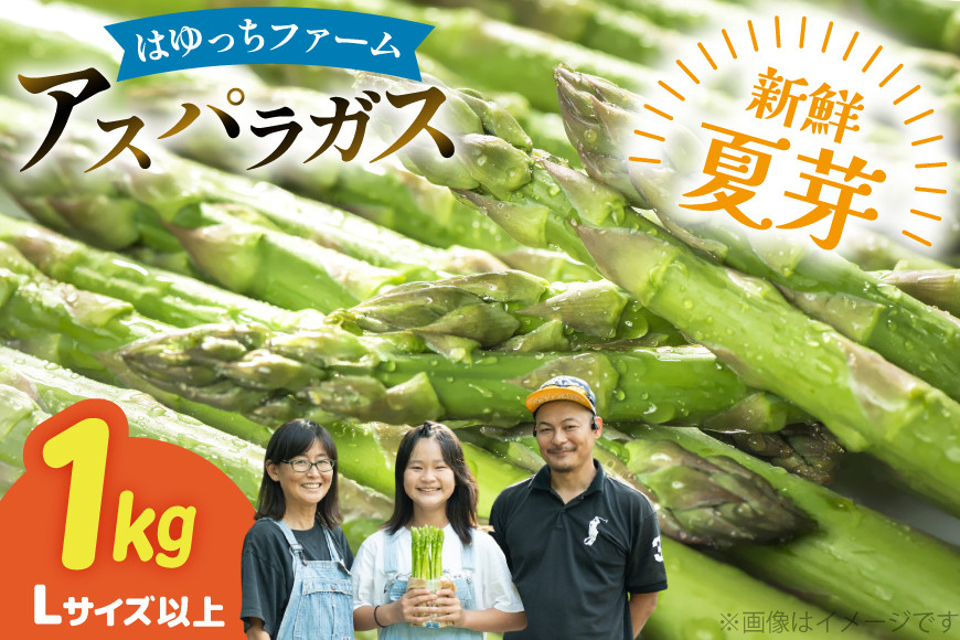 
                  アスパラ アスパラガス 夏芽アスパラガス 1kg L サイズ以上 [はゆっちFARM 長崎県 東彼杵町 hs42bag360001] アスパラ あすぱら 新鮮 夏
                