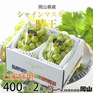 【2026年8月より発送予定】ご家庭用　岡山県産　シャインマスカット　晴王　400g×2房【配送不可地域：離島】【1409723】
