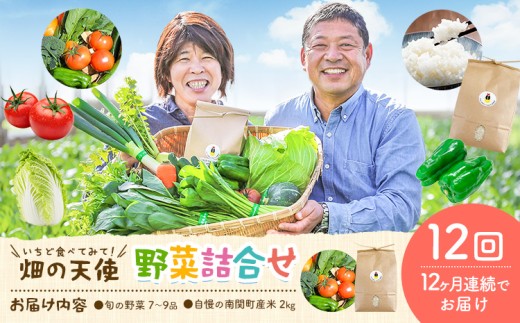 【12ヶ月定期便】野菜 詰合せ 7～9品 米 2kg 12回《お申込み翌月から出荷》 畑の天使 いちど食べてみて「畑の天使」野菜 米 安全安心 おまかせ 詰め合わせ セット 旬の野菜 ボリューム 季節 生産者 フレッシュ サラダ 熊本県 南関町