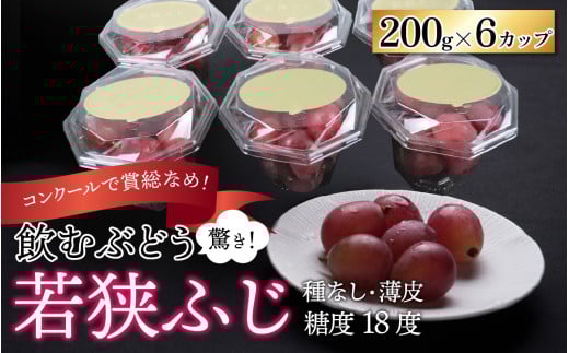 【先行予約】【数量・期間限定】受賞歴多数！飲むぶどう 若狭ふじ 約200g×6個（約1.2kg）【ご自宅用】≪2026年8月中旬より順次発送≫  / ブドウ 葡萄 果物 フルーツ デザート 高級 ブランド 国産 大粒 種なし 糖度 産地直送 お取り寄せ 贈り物 ギフト 送料無料